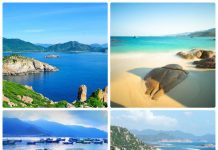 du lich nha trang