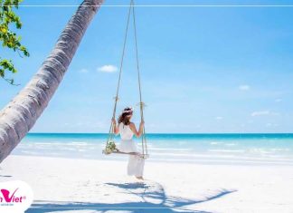 Du Lịch Biển 2026: Xu Hướng, Điểm Đến HOT và Kinh Nghiệm Đặt Tour Biển Giá Tốt Du lich Biển